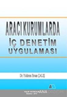 Aracı Kurumlarda İç Denetim Uygulaması