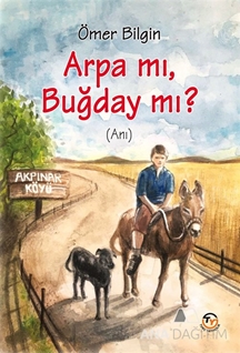 ARPA MI,  BUĞDAY MI?