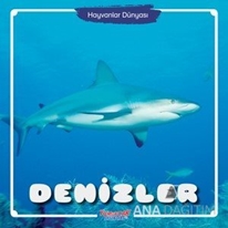 Denizler / Hayvanlar Dünyası