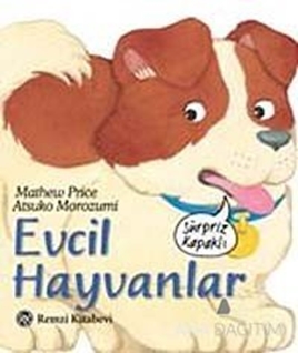 Evcil Hayvanlar