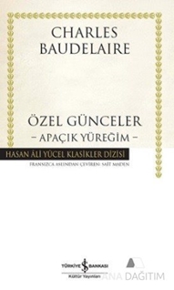 Özel Günceler : Apaçık Yüreğim