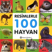 Resimlerle 100 Hayvan (Küçük Boy)