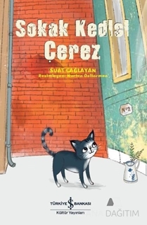 Sokak Kedisi Çerez