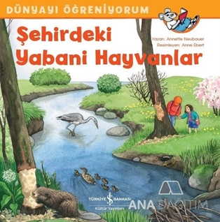 Şehirdeki Yabani Hayvanlar - Dünyayı Öğreniyorum