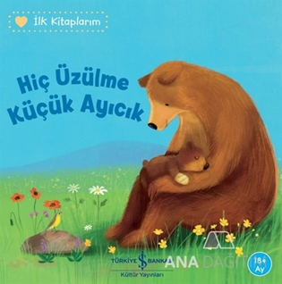 HİÇ ÜZÜLME KÜÇÜK AYICIK – İLK KİTAPLARIM