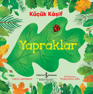 KÜÇÜK KAŞİF - YAPRAKLAR