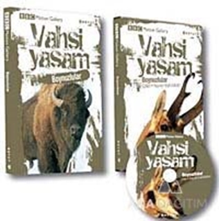 Vahşi Yaşam-Boynuzlular