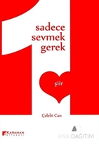 Sadece Sevmek Gerek