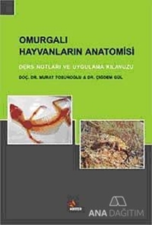 Omurgalı Hayvanların Anatomisi