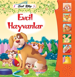 Evcil Hayvanlar