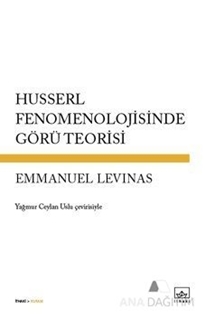 Husserl Fenomenolojisinde Görü Teorisi