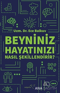 Beyniniz Hayatınızı Nasıl Şekillendirir?