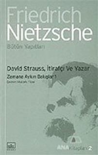 David Strauss, İtirafçı ve Yazar