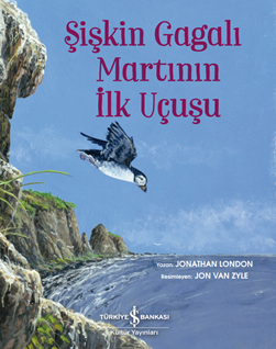 Şişkin Gagalı Martinin İlk Uçuşu