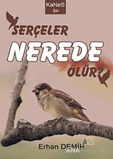 Serçeler Nerede Ölür?