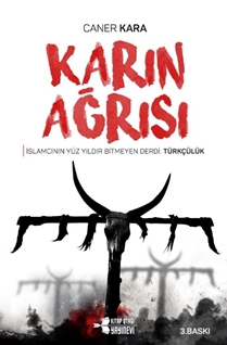 Karın Ağrısı