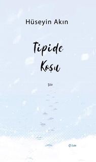 Tipide Koşu