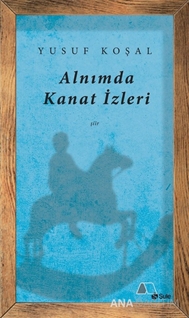 Alnımda Kanat İzleri