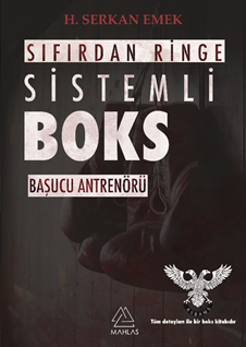 Sıfırdan Ringe Sistemleri Boks