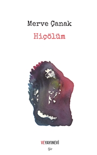 Hiçölüm