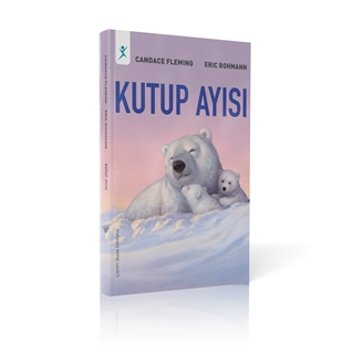 Kutup Ayısı