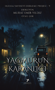 Yağmurun Karanlığı