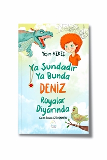 Ya Şundadır Ya Bunda Deniz Rüyalar Diyarı