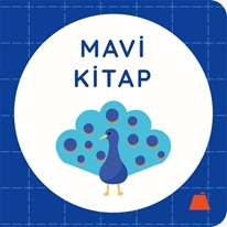 Mavi Kitap