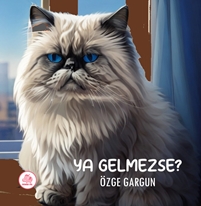 Ya Gelmezse