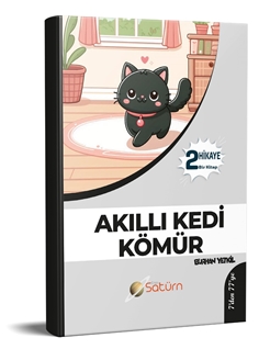 Akıllı Kedi Kömür