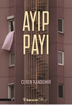 Ayıp Payı