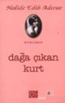 Dağa Çıkan Kurt