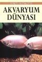 Renkli Akvaryum Dünyası